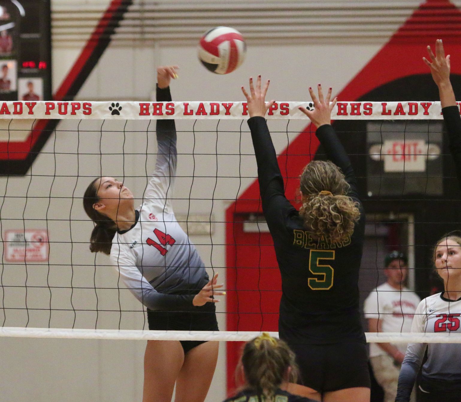 Golden Bears open season with victory over Bullpups